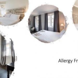 Novella Goldoni Suite-An Allergy Free Rooms Project Florence
