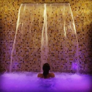Golden Tower Hotel & Spa Florence