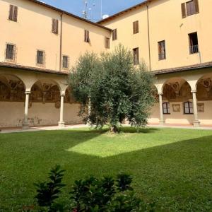 Hostel in Florence 