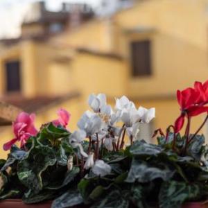 Santa Trinita - Flo Apartments