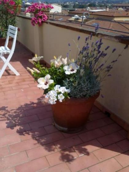 Annabella Hotel - image 8