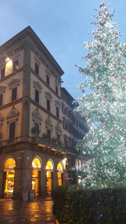 Palazzo Gamba - image 17