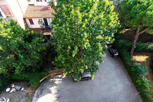 Hotel Corolle - image 6