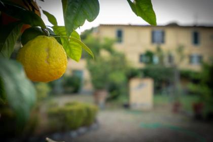 Villa Ape Rosa Relais - image 13