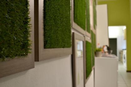 Green Domus - image 19