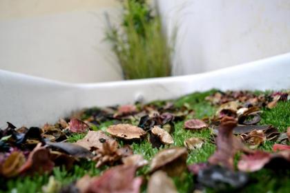 Green Domus - image 6