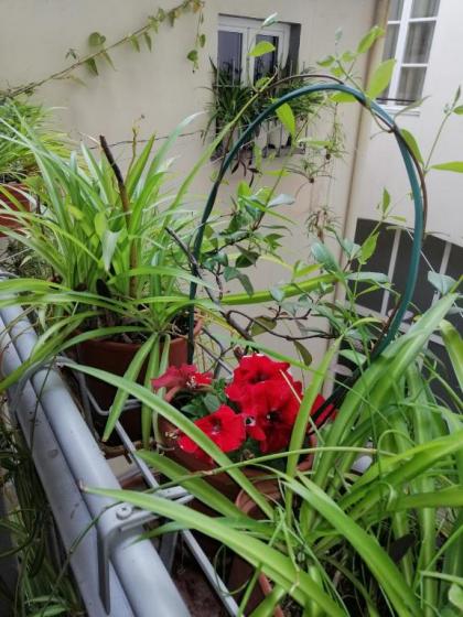 Florence Pitti Loft - image 11
