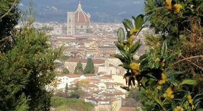 Florence Pitti Loft - image 14