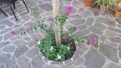 Florence Stadium B&B - image 4