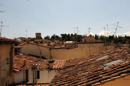 Acacia Firenze - Ciclamino - image 8