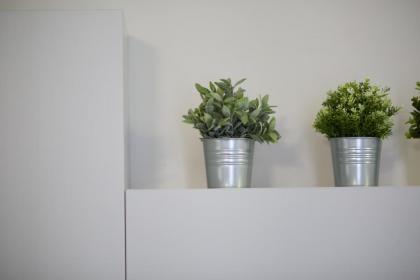 Beccaria Suite - image 3