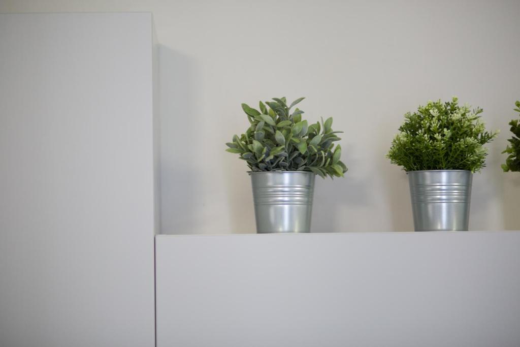 Beccaria Suite - image 3
