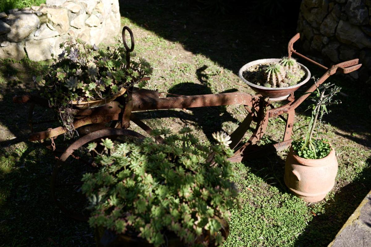 Villa Gallorosso - image 7