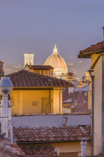 Apartments Florence - MaggioTerrace - image 4