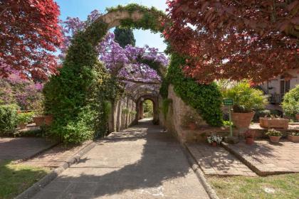 Casa Rosa - image 14