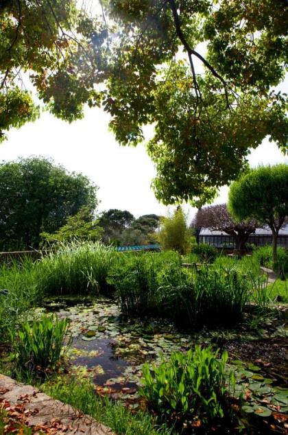 Casa Rosa - image 4