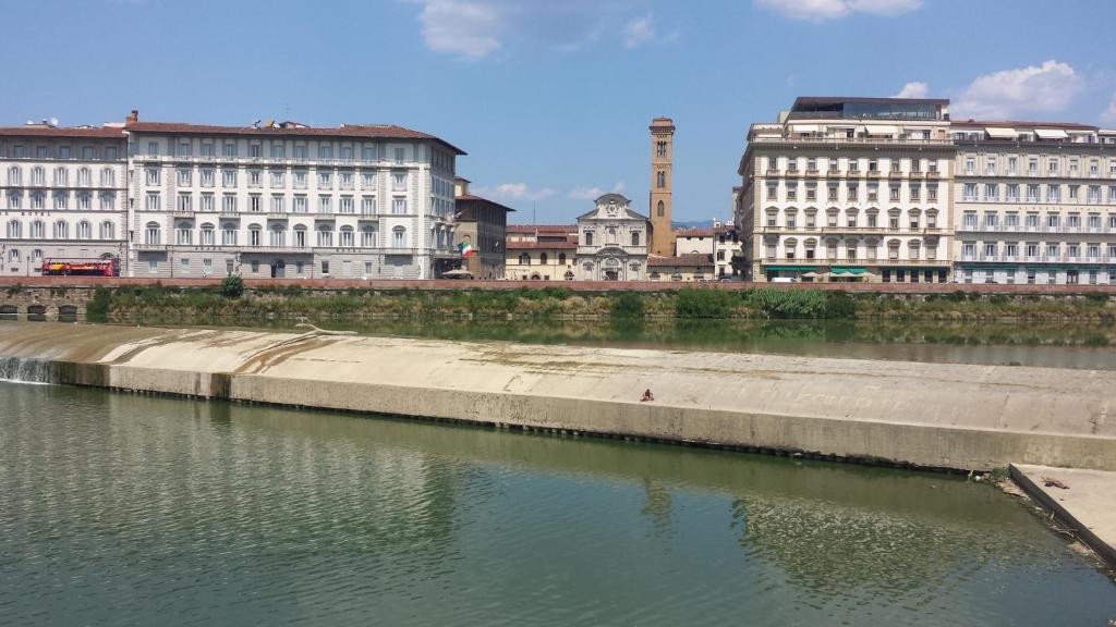 Medici Soderini - image 4