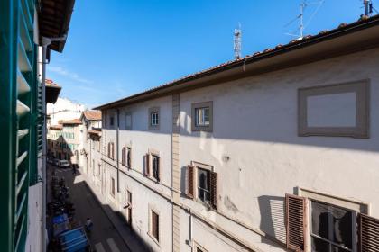 Roommo Viola - image 3