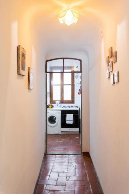 Roommo Viola - image 4