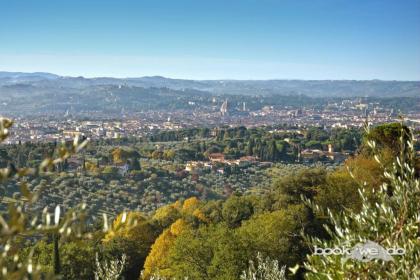 Limonaia della Gressa - Bookwedo - image 5