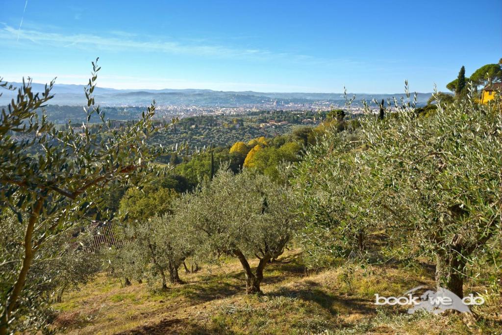 Limonaia della Gressa - Bookwedo - image 6