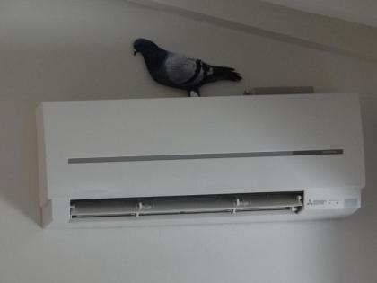 Matteotti Apartment - image 9
