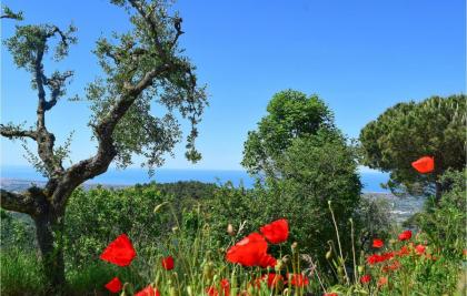 Nice Home In Camaiore With 3 Bedrooms And Wifi - image 30