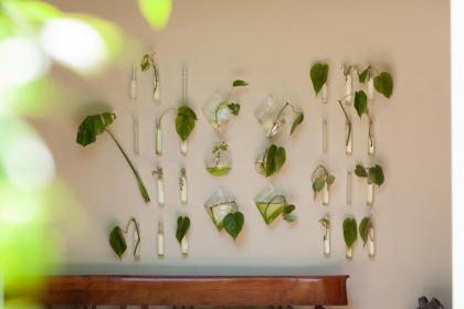 Secret Garden Firenze B&B - image 21