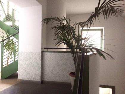 Studio for three people - image 4