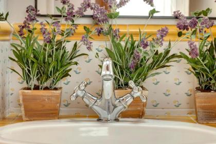 Mamo Florence - Maddalena Apartment - image 6