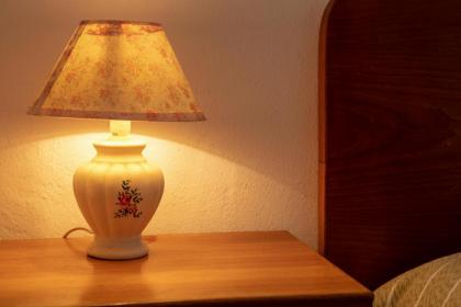 Roommo Viuzzo delle Canne - image 24