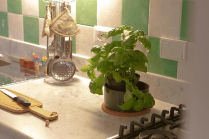 Roommo Viuzzo delle Canne - image 29