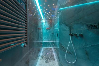 Aparmtents Florence - Dragomanni Loft with patio - image 11