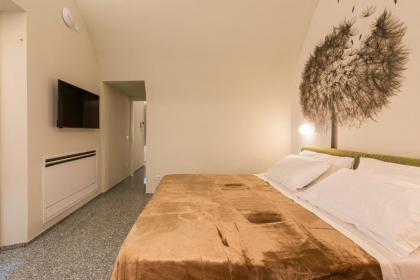 Aparmtents Florence - Dragomanni Loft with patio - image 17