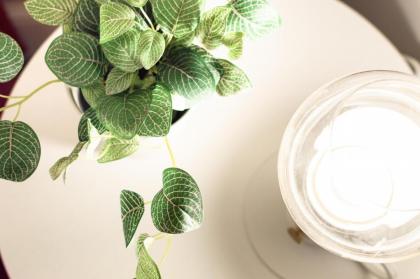 Piattellina Five Senses - image 22