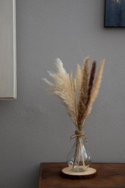 Florence Urban Nest ~ Guesthouse - image 23