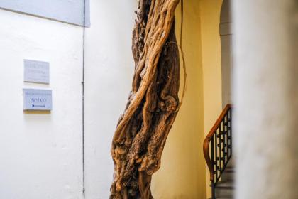 Fiorenza Boutique Apartment - image 25
