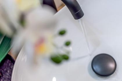 Santarosa Five Senses - image 29