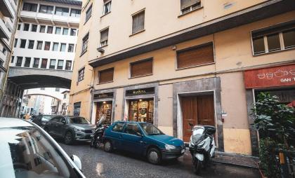 Acacia Firenze - Avocado - image 14