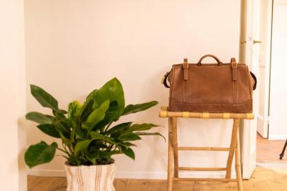 Pitti - Tuscan charming apartment - image 23