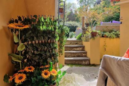 Monica appartamento con giardino al Ponte Vecchio - image 16