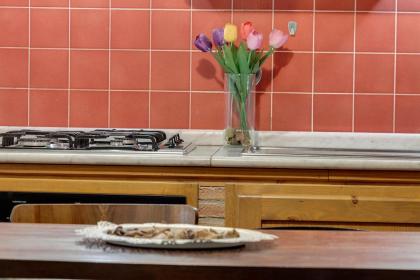 Mamo Florence - Dafne Apartment - image 11