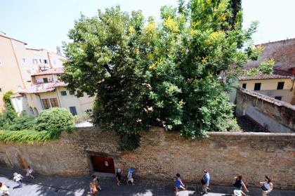 Acacia Firenze - Magnolia - image 26