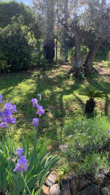 A Firenze nel verde con piscina - image 22