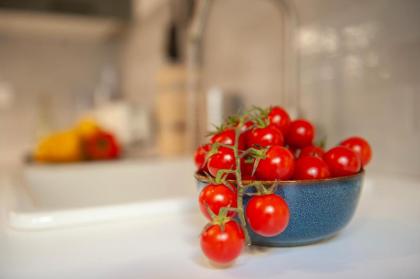 Canto Rivolto Apartment - image 21